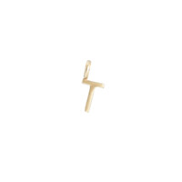 T Bronze Letter Charm