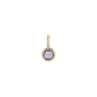 Amethyst bronze charm