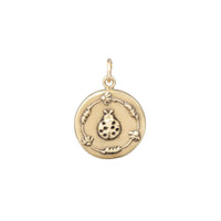 Ladybug bronze