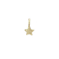 Star bronze charm