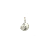 Snail silver charm