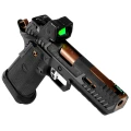TTI Viper w/ RMR HD