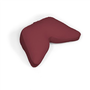 Meditation Cushion Meditation Cushion