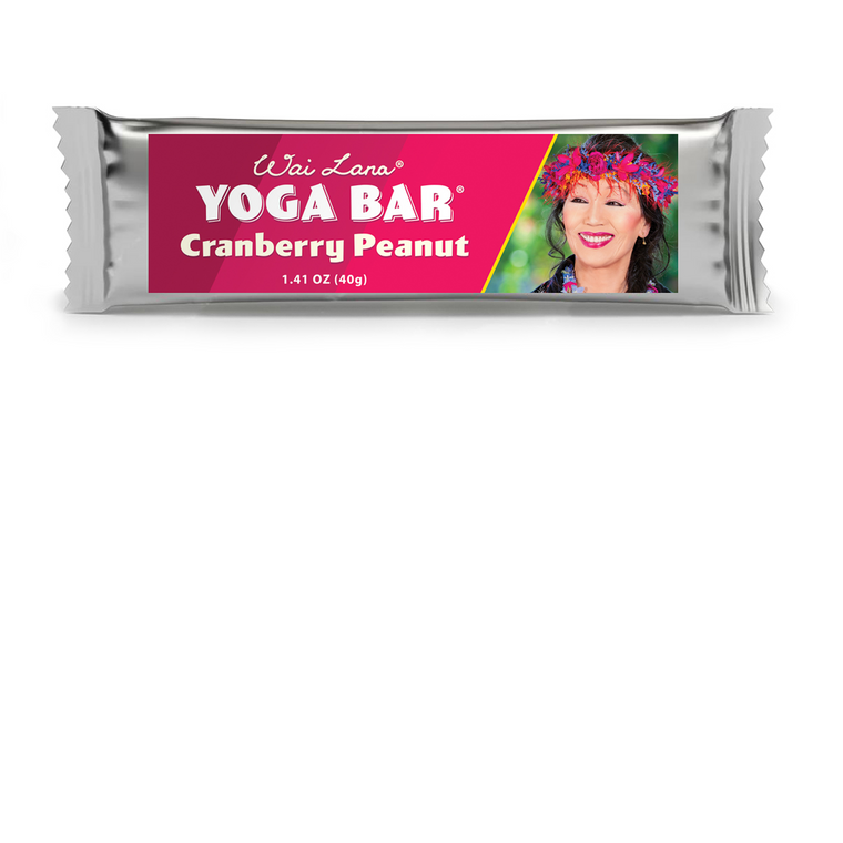 Yoga – Fruit and Nut Bar Cranberry Peanut 