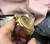 buy High quality replica Iced out Patek diamonds gold case with black leather strap replica from hypereptime Patek
