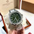 Super clone replica iced out Patek Philippe AQUANAUT series moissanite vvs diamond Geneve silver, green dial watch