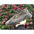 UA High quality replica Adidas Yeezy boost 700 geode colorway sneaker