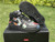 High quality replica UA NIKE AF1  X supreme X NBA basketball team logo collab sneaker
