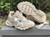 UA High quality replica Balenciaga Triple 3.0  track2 sneakers (Select colorway)