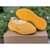 Buy High quality replica UA Yeezy Knit Runner “Sulfur”, Sneaker from HypeRepTime, best replica designer brand website