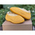High quality replica UA Yeezy Knit Runner “Sulfur”, Sneaker
