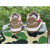 High quality replica UA Bapesta Solebox Red Star In Brown Sneaker