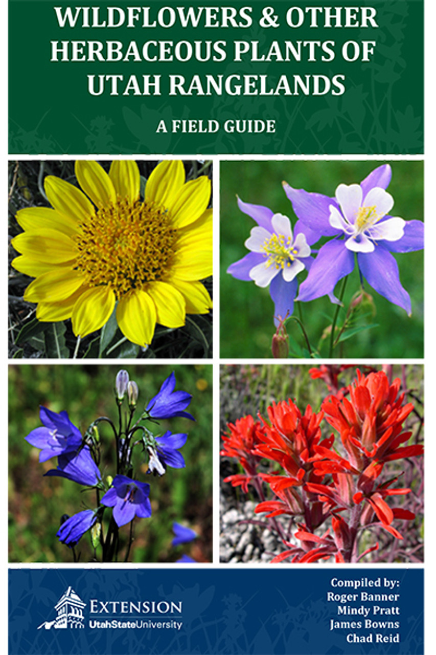 Wildflowers and Other Herbaceous Plants of Utah Rangelands