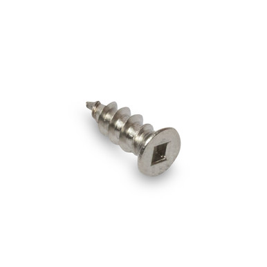 Stainless steel hinge fastener.
