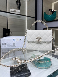 Copy of CHANEL Shoulder bag AP3237Y