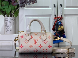 LV Mini Pochette Accessoires M80501