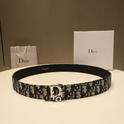 DRY32 Dior Belt