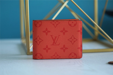 LV LVQ29 LV Men Wallet | 529
