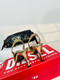 DIESEL HIGH HEEL GOLD
