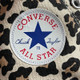 Converse Sneakers 491
