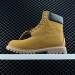TIMBERLANDS 101