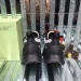 OFF WHITE Sneakers 878