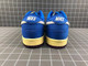 NIKE DUNKS491