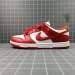 NIKE DUNKS 509