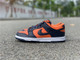 NIKE DUNKS | 496