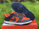 NIKE DUNKS | 496