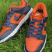 NIKE DUNKS | 496