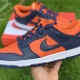 NIKE DUNKS | 496