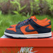 NIKE DUNKS | 496