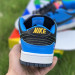 NIKE DUNKS 289