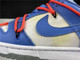 NIKE DUNKS 600