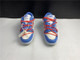 NIKE DUNKS 600