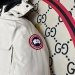Canada Goose  689