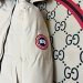 Canada Goose  215