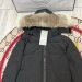 Canada Goose  617
