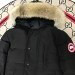 Canada Goose  351
