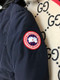 Canada Goose  329