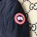 Canada Goose  329