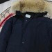 Canada Goose  329