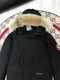 Canada Goose  297
