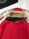 Canada Goose  929