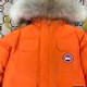 Canada Goose  512