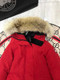 Canada Goose  504