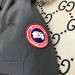 Canada Goose  461