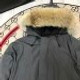 Canada Goose  461