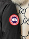 Canada Goose  566